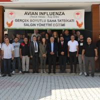 Elazığ