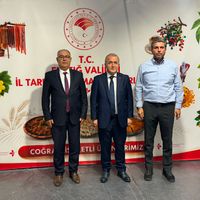 Elazığ