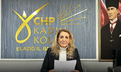 CHP'li Ayten Çekil'den İYİ Partili Vekilin Mesajına Tepki