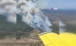 İzmir Menderes’te Orman Yangını
