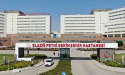 Altyapı Çalışmalarında Boruların Altında Kalan Belde Başkanı Ve Personel Yaralandı