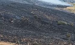 Elazığ’da Arazi Yangını