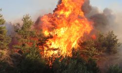 Hazar Gölü'nü Aydınlatan Alevler: Dağlık Alanda Korkutan Yangın