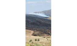 Elazığ’da Arazi Yangını: Havadan Ve Karadan Söndürme Çalışmaları Sürüyor