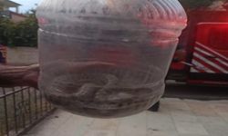 Elazığ’da Engerek Yılanı Paniği