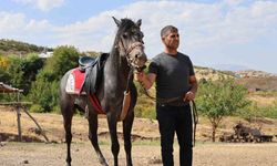 Rahvan Atların Yolculuğu: Orta Asya’dan Osmanlı’ya, Bugün Palu’da