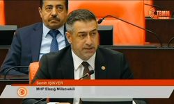 Elektrik İletim Hatları Sorunu Meclis Gündemine Taşındı
