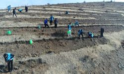 Elazığ’da “1 İyilik 1 Fidan” Kampanyasıyla Fidanlar Toprakla Buluştu