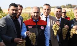 Üzüm Üreticilerine Bitki Sağlığı Desteği