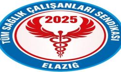 Tüm Sağlık Çalışanları Sendikası’ndan Rekor Üyelik Başarısı