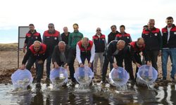 Elazığ’da Kalecik Barajı’nda Sazan Yavruları Doğayla Buluştu