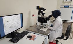 Elazığ Fethi Sekin Şehir Hastanesi'nde NOA Hastalarında İlk Gebelik Başarısı