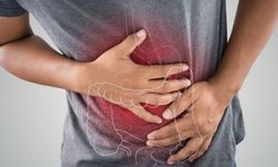 Bağırsak Sağlığı, Uzun Yaşam Üzerinde Belirleyici Rol Oynuyor