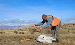 Elazığ’da Doğaya Yem Bırakıldı