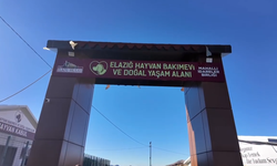 Vali Hatipoğlu’ndan Kovancılar’daki Sokak Hayvanları Yaşam Alanına İnceleme