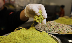 Fıstık Fiyatları Arttı: Sahtekarların Kullandığı Gıda Boyası ve Bezelyeye Dikkat