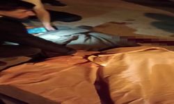 Elazığ’da Otomobilin Çarptığı Çocuk Hayatını Kaybetti