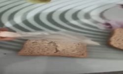 Elazığ’da Ekmeğin İçerisinden Poşet Çıktı