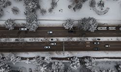 Elazığ'da Beton Yığınlarının Arasındaki Beyaz Vaha Mest Etti