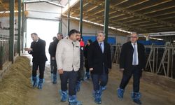 Elazığ'da Hayvancılık Altyapısı Yerinde İncelendi