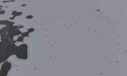 Cip Baraj Gölü Buz Tuttu