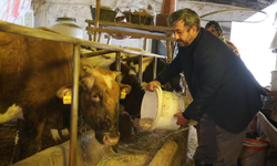 Elazığ'da Besicilerin Kış Mesaisi