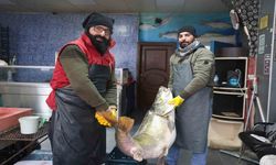 Elazığ'da Yakalanan 78 Kilogram Ağırlığındaki Turna Balığını İki Kişi Zor Taşıdı