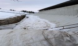 Elazığ'da Ahırın Tavanı Çöktü