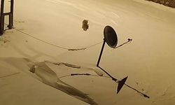 Elazığ'da Aç Kalan Yaban Hayvanları Köye İndi