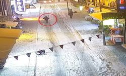 Elazığ'da Restoranlara Silahlı Saldırı: Tutuklu Sayısı 6'ya Yükseldi