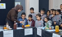 Arıcak’ta Öğrencilere Bilimi Sevdiren Etkinlik