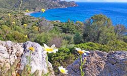 İkinci Cemre Suya Düştü