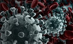 Kanser Tedavisinde Yeni Ufuk: Kişiye Özel Kanser Aşıları Gündemde