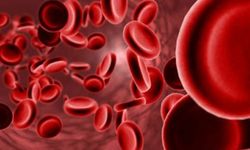 Uzmanından Demir Eksikliğine Karşı Beslenme Önerisi