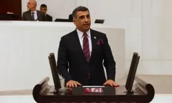 Gürsel Erol’dan Festival Tepkisi: Elazığ Listede Yer Almadı