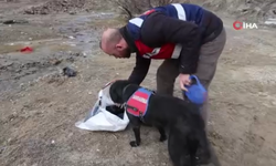 Jandarma Köpeği Salkım, Kayıp Şahıs İçin Elbise Ve Ayakkabı Örneğiyle İz Sürüyor