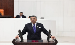 Erol, Elazığ’daki 2. Basamak Hastane İhtiyacını Meclis Gündemine Taşıdı