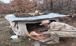 Köy Yoluna Bırakılan Yavru Köpeklere Jandarmandan Şefkat Eli