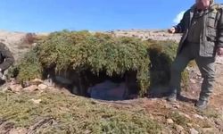 Elazığ'da Kaçak Meterisler İmha Edildi