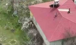 Elazığ'da 16 Yıl Kesinleşmiş Hapis Cezası Olan Hükümlü Yakalandı