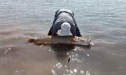 Elazığ'da amatör balıkçılar 65 kilo ağırlığında turna balığı yakaladı