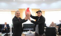 Elazığ'da Tavla ve Bocce Etkinliği