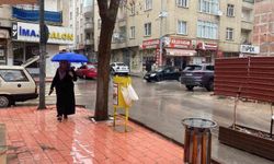 Elazığ'da Yağış Etkili Oldu