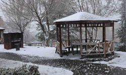 Mart ayında Elazığ'a kar sürprizi