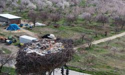 Sadık misafir leylek 10 yıldır yolunu şaşırmıyor