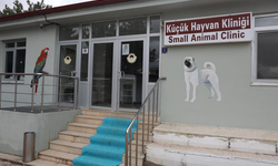 Cumhuriyet Tarihinin İlk Fakültesine Ait Hastanede, Bir Yılda 9 Bin 600 Hayvan Şifa Buldu