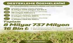 Çiftçilere 8,7 Milyarlık Destek Ödemesi Başladı