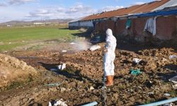 Elazığ'da Larva İlaçlama Çalışmaları Başladı