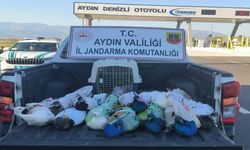 Elazığ’a Gönderilmek İstenen 12 Tavus Kuşu Jandarmaya Takıldı