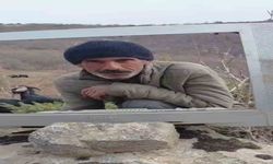 Elazığ'da Çobanın 'Televizyonlu' Hava Durumu Sunumu Tebessüm Ettirdi